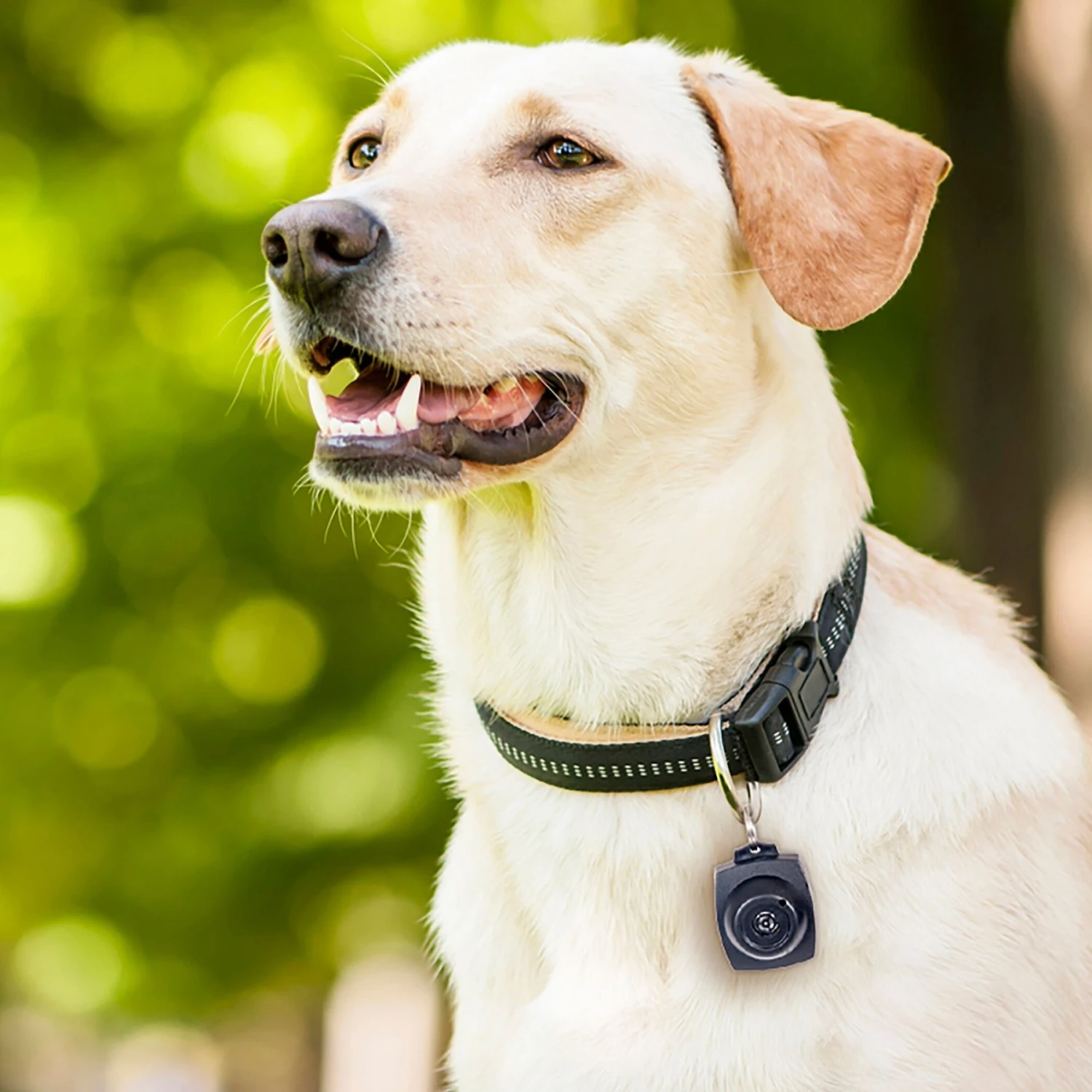 Pet Parade Dog Tick & Flea Repeller 9 Pet Parade Dog Tick & Flea Repeller - Image 7