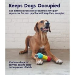 Petstages Multi-Squeak Bone Dog Chew Toy -Blue Buffalo Shop 367946 PT3. AC SS1800 V1644525450