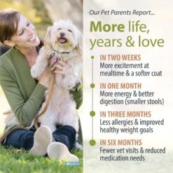 JustFoodForDogs Balanced Remedy Recipe Frozen Human-Grade Fresh Dog Food 16 JustFoodForDogs Balanced Remedy Recipe Frozen Human-Grade Fresh Dog Food -Blue Buffalo Shop 368113 PT5. AC SS1800 V1675350591