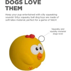 Outward Hound Sillyz Chick Latex Rubber Squeaky Ball Dog Toy 9 Outward Hound Sillyz Chick Latex Rubber Squeaky Ball Dog Toy -Blue Buffalo Shop 368196 PT1. AC SS1800 V1644528698