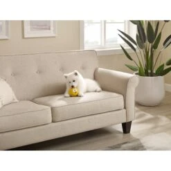 Outward Hound Sillyz Chick Latex Rubber Squeaky Ball Dog Toy 12 Outward Hound Sillyz Chick Latex Rubber Squeaky Ball Dog Toy -Blue Buffalo Shop 368196 PT4. AC SS1800 V1644532945