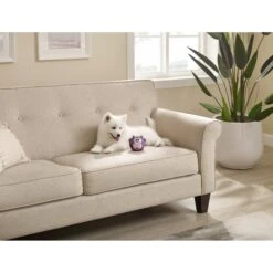 Outward Hound Sillyz Cow Latex Rubber Squeaky Ball Dog Toy -Blue Buffalo Shop 368198 PT4. AC SS1800 V1644532018