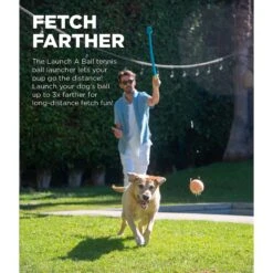 Outward Hound Launch A Ball Tennis Dog Toy 10 Outward Hound Launch A Ball Tennis Dog Toy -Blue Buffalo Shop 368206 PT1. AC SS1800 V1644533024