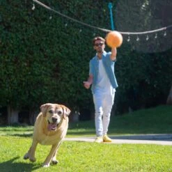 Outward Hound Launch A Ball Tennis Dog Toy 13 Outward Hound Launch A Ball Tennis Dog Toy -Blue Buffalo Shop 368206 PT4. AC SS1800 V1644530490