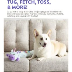 Charming Pet Longidudes Unicorn Plush & Squeaky Dog Tug Toy, Blue -Blue Buffalo Shop 368210 PT3. AC SS1800 V1644528445