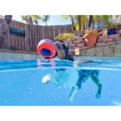 Chuckit! Amphibious Roller Ball Dog Toy, Orange 8 Chuckit! Amphibious Roller Ball Dog Toy, Orange -Blue Buffalo Shop 369040 PT3. AC SS1800 V1645577320