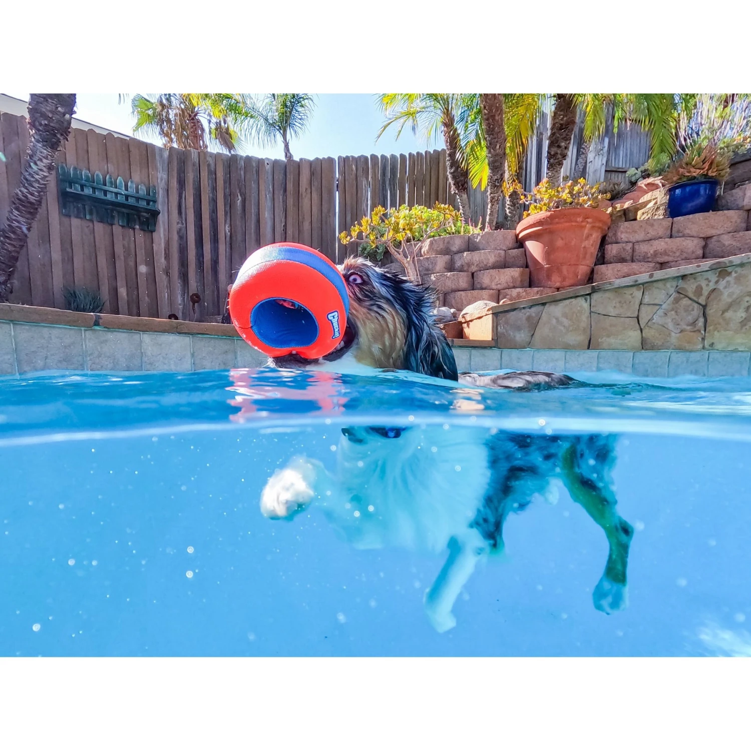 Chuckit! Amphibious Roller Ball Dog Toy, Orange 5 Chuckit! Amphibious Roller Ball Dog Toy, Orange - Image 3