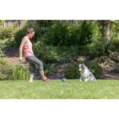 Chuckit! Giggle Kick Fetch Dog Toy, Blue -Blue Buffalo Shop 369053 PT4. AC SS1800 V1645582368