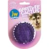 JW Pet Bristly Cactus Ball Dog Toy, Purple 1 JW Pet Bristly Cactus Ball Dog Toy, Purple -Blue Buffalo Shop 369096 MAIN. AC SS1800 V1646667987