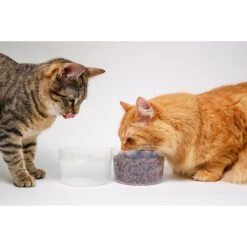 Mobowl Carrying Pouch Travel Dog & Cat Bowl, 2-cup -Blue Buffalo Shop 369116 PT8. AC SS1800 V1646947333