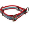Kurgo Walk About Limited Slip Dog Collar, Multi-color -Blue Buffalo Shop 369351 MAIN. AC SS1800 V1647984098