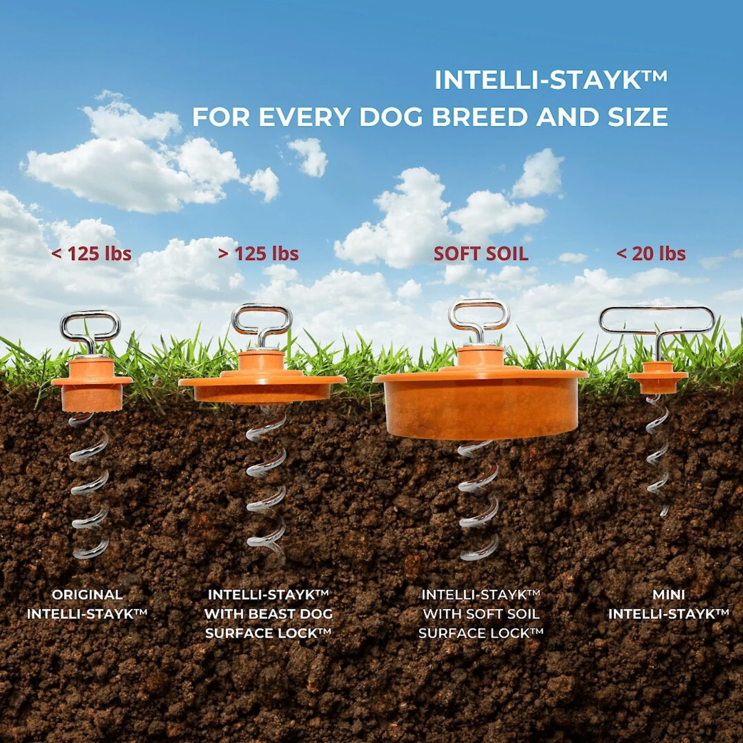 IntelliLeash Intelli-Stayk With Beast Dog Surface Lock 8 IntelliLeash Intelli-Stayk With Beast Dog Surface Lock - Image 6