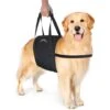 WALKABOUT Walkabelly Support Sling Dog Harness -Blue Buffalo Shop 369810 MAIN. AC SS1800 V1687375634