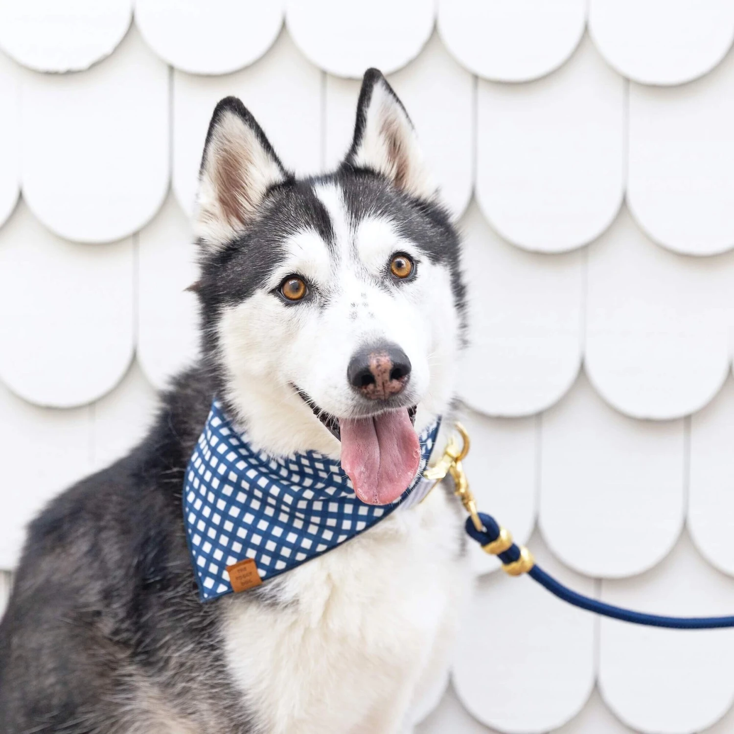 The Foggy Dog Ocean Marine Rope Dog Leash 6 The Foggy Dog Ocean Marine Rope Dog Leash - Image 4