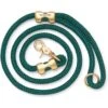 The Foggy Dog Evergreen Marine Rope Dog Leash 2 The Foggy Dog Evergreen Marine Rope Dog Leash -Blue Buffalo Shop 369826 MAIN. AC SS1800 V1646170043