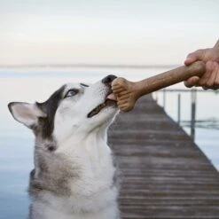 Lumabone Bulkster Bacon Flavor Dog Toy -Blue Buffalo Shop 370197 PT4. AC SS1800 V1646783525