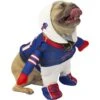 Modern Hero NFL Running Dog Costume 1 Modern Hero NFL Running Dog Costume -Blue Buffalo Shop 370965 MAIN. AC SS1800 V1650782783