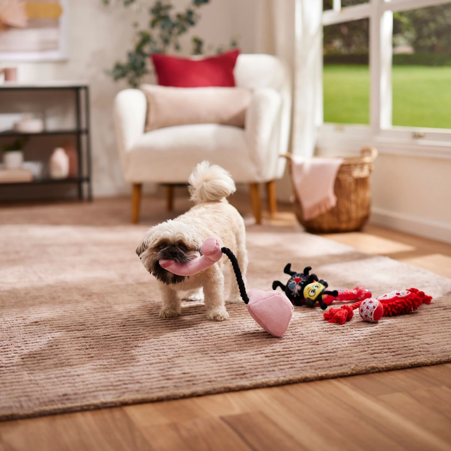 Frisco Valentine Rope, TPR & Plush Variety Pack Dog Toy 5 Frisco Valentine Rope, TPR & Plush Variety Pack Dog Toy - Image 3