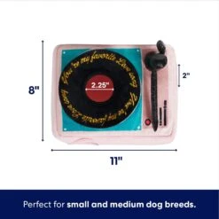 Frisco Valentine Love Song Record Player Hide & Seek Puzzle Plush Squeaky Dog Toy -Blue Buffalo Shop 371087 PT1. AC SS1800 V1701364922