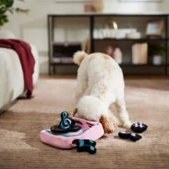 Frisco Valentine Love Song Record Player Hide & Seek Puzzle Plush Squeaky Dog Toy -Blue Buffalo Shop 371087 PT3. AC SS1800 V1668737233