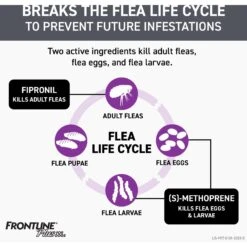 Frontline Plus Flea & Tick Spot Treatment For Large Dogs, 45-88 Lbs -Blue Buffalo Shop 47489 PT3. AC SS1800 V1700247323