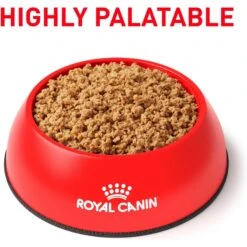 Royal Canin Veterinary Diet Adult Selected Protein PD Loaf Canned Dog Food -Blue Buffalo Shop 49958 PT2. AC SS1800 V1697761876