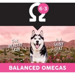 Ultimates Meadow Prime Grain-Free Lamb & Potato Dry Dog Food -Blue Buffalo Shop 502434 PT5. AC SS1800 V1647986515