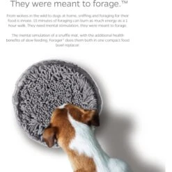 Pet Parents Forager Snuffle Mat & Slow Feeder Dog Bowl 14 Pet Parents Forager Snuffle Mat & Slow Feeder Dog Bowl -Blue Buffalo Shop 505542 PT3. AC SS1800 V1696255000