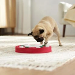 Frisco Bento Interactive Puzzle Dog Toy, Moderate -Blue Buffalo Shop 506226 PT5. AC SS1800 V1674664929