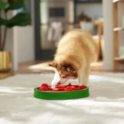 Frisco Watermelon Interactive Puzzle Dog Toy, Advanced -Blue Buffalo Shop 506322 PT5. AC SS1800 V1674667034