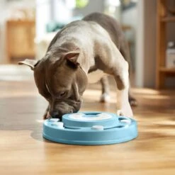 Frisco Two Tier Interactive Puzzle Dog Toy, Easy -Blue Buffalo Shop 506370 PT5. AC SS1800 V1674671566