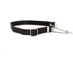 Euro-Dog Modern Leather Martingale Dog Collar