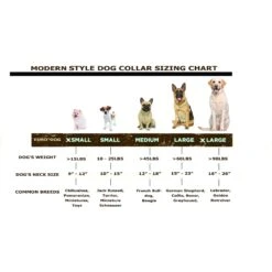 Euro-Dog Modern Leather Martingale Dog Collar -Blue Buffalo Shop 508998 PT4. AC SS1800 V1649818588