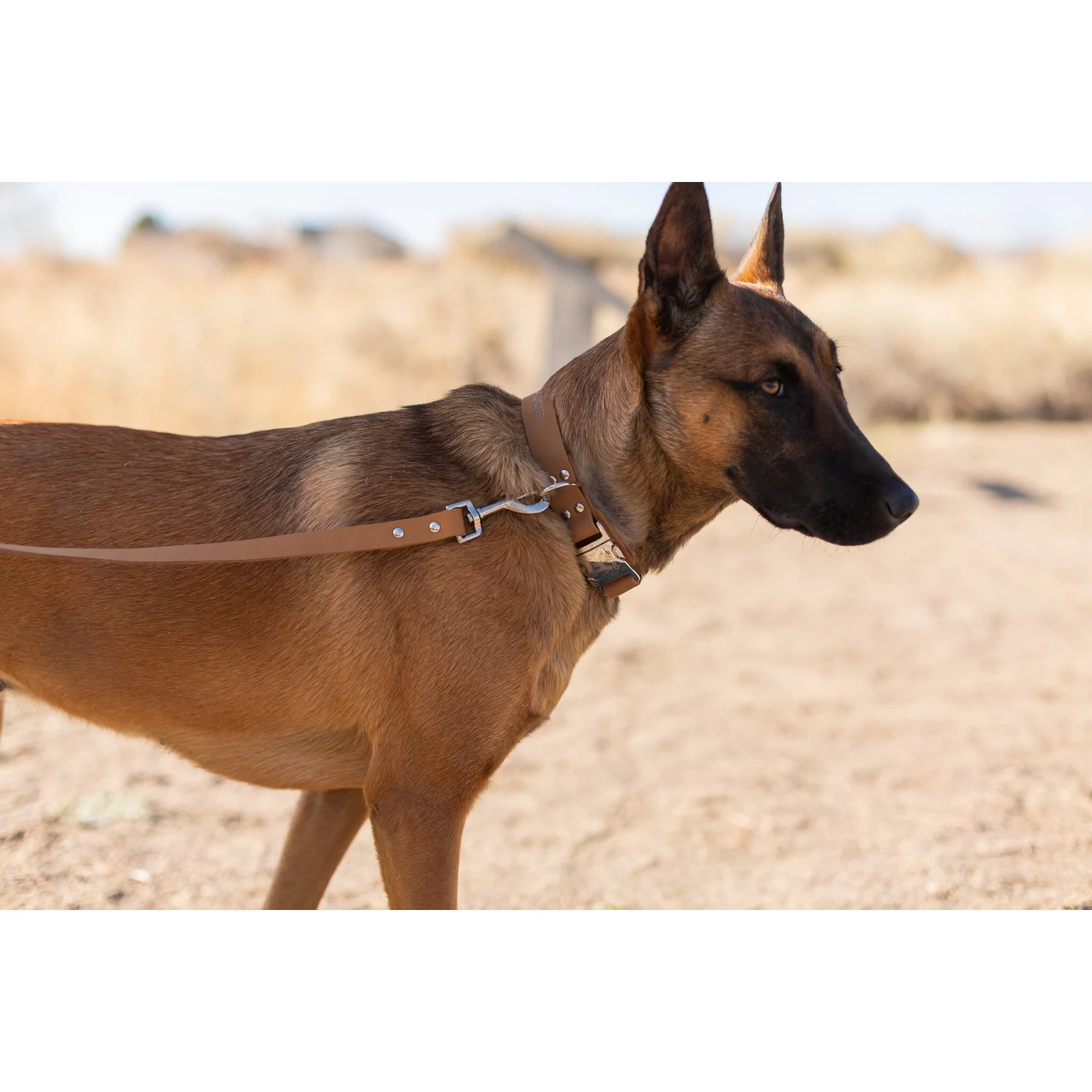 Euro-Dog Modern Leather Dog Lead 4 Euro-Dog Modern Leather Dog Lead - Image 2