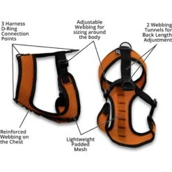 K9 Sport Sack Dog Harness -Blue Buffalo Shop 520558 PT4. AC SS1800 V1660932039