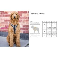 K9 Sport Sack Dog Harness -Blue Buffalo Shop 520558 PT5. AC SS1800 V1660933196