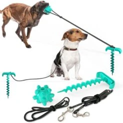 Hanamya Molar Chew Ball With Portable Tie-out Stick Elastic Pull Rope Dog Toy