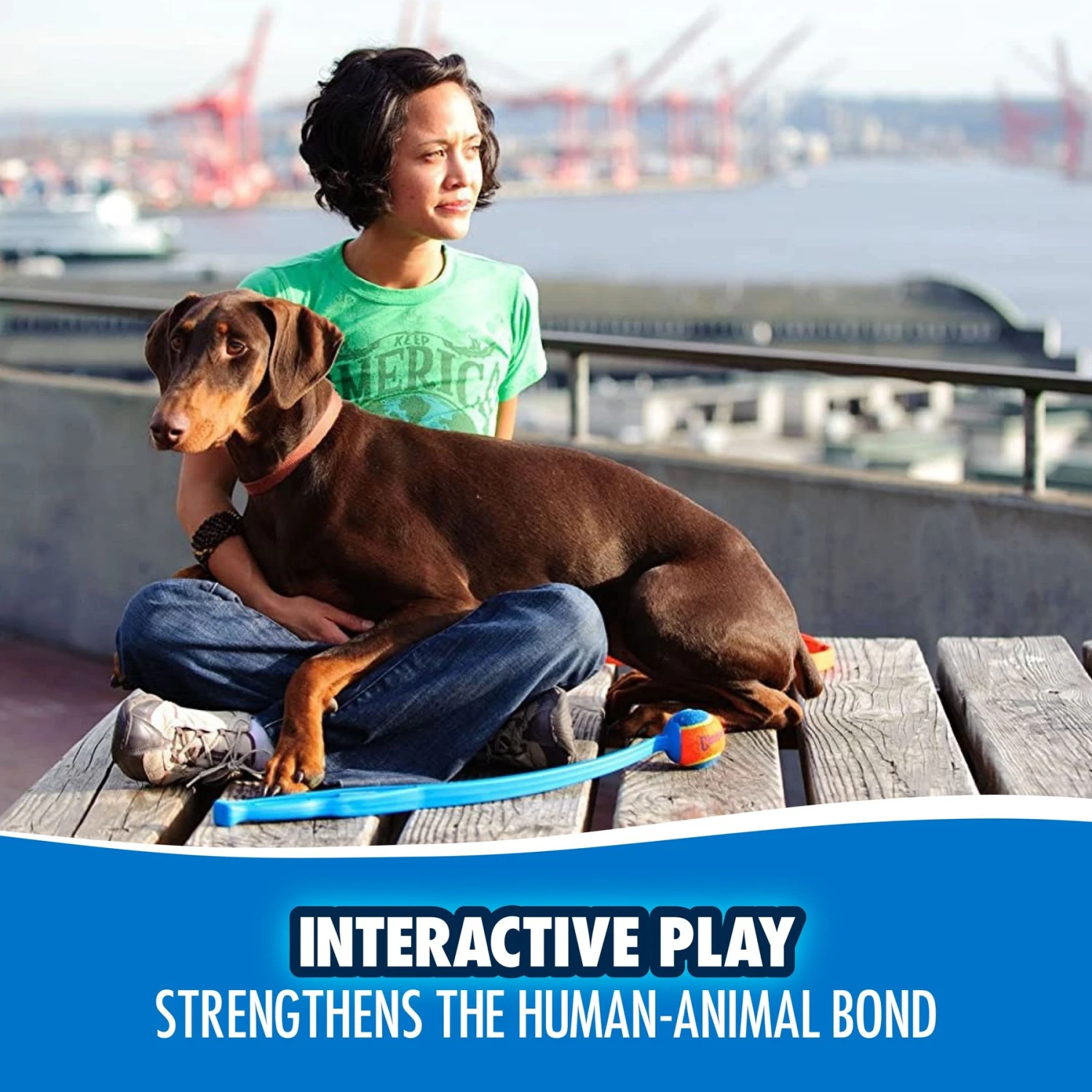 Chuckit! Junior Launcher Dog Toy, Color Varies 7 Chuckit! Junior Launcher Dog Toy, Color Varies - Image 5