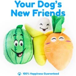 Pacific Pups Rescue Rope & Chew Dog Toy Variety Pack, 18 Count -Blue Buffalo Shop 532254 PT6. AC SS1800 V1692805976