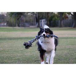 Pacific Pups Rescue Rope Tug Dog Toy, Large 12 Pacific Pups Rescue Rope Tug Dog Toy, Large -Blue Buffalo Shop 532286 PT4. AC SS1800 V1657658629