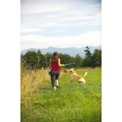 Chuckit! The Whistler Ball Dog Toy, Color Varies 11 Chuckit! The Whistler Ball Dog Toy, Color Varies -Blue Buffalo Shop 53238 PT2. AC SS1800 V1531445513