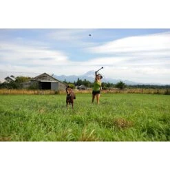 Chuckit! The Whistler Ball Dog Toy, Color Varies 12 Chuckit! The Whistler Ball Dog Toy, Color Varies -Blue Buffalo Shop 53238 PT3. AC SS1800 V1531445532