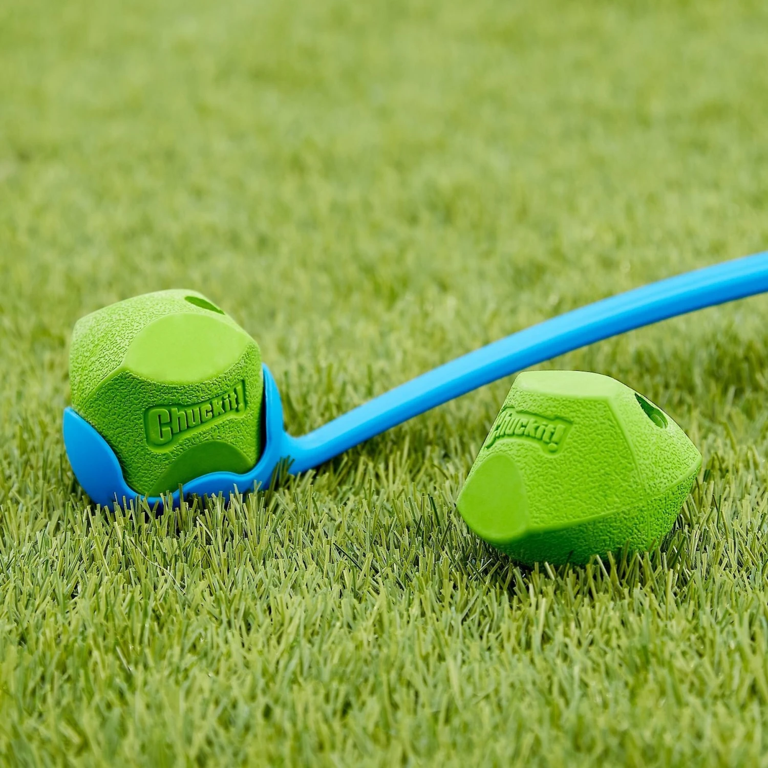 Chuckit! Erratic Ball Dog Toy 4 Chuckit! Erratic Ball Dog Toy - Image 2