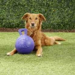 Jolly Pets Tug-n-Toss Dog Toy, Purple 7 Jolly Pets Tug-n-Toss Dog Toy, Purple -Blue Buffalo Shop 53642 PT2. AC SS1800 V1530191318