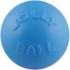Jolly Pets Bounce-n-Play Dog Toy, Blueberry 1 Jolly Pets Bounce-n-Play Dog Toy, Blueberry -Blue Buffalo Shop 53661 MAIN. AC SS1800 V1629243987