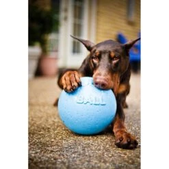 Jolly Pets Bounce-n-Play Dog Toy, Blueberry 8 Jolly Pets Bounce-n-Play Dog Toy, Blueberry -Blue Buffalo Shop 53661 PT1. AC SS1800 V1629246670