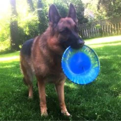 Ruff Dawg K9 Flyer Disc Dog Toy, Color Varies -Blue Buffalo Shop 53795 PT2. AC SS1800 V1602328559