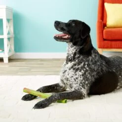 Ruff Dawg Stick Dog Fetch Toy, Color Varies 11 Ruff Dawg Stick Dog Fetch Toy, Color Varies -Blue Buffalo Shop 53803 PT8. AC SS1800 V1507036192