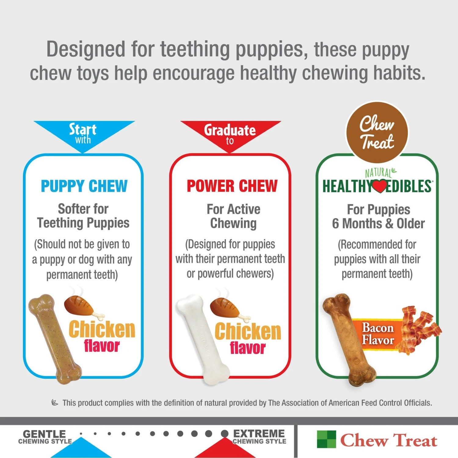 Nylabone Puppy Starter Pack Triple Starter Pack 8 Nylabone Puppy Starter Pack Triple Starter Pack - Image 6