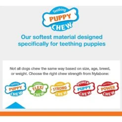 Nylabone Puppy Starter Pack Triple Starter Pack 17 Nylabone Puppy Starter Pack Triple Starter Pack -Blue Buffalo Shop 54226 PT6. AC SS1800 V1693419684